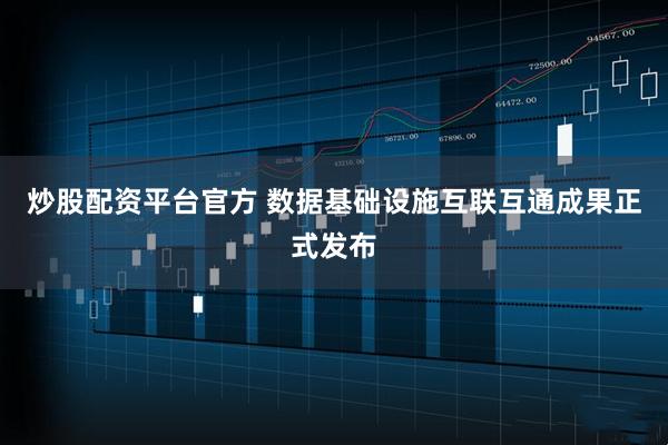炒股配资平台官方 数据基础设施互联互通成果正式发布
