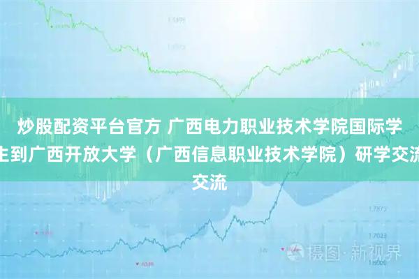 炒股配资平台官方 广西电力职业技术学院国际学生到广西开放大学(广西信息职业技术学院)研学交流