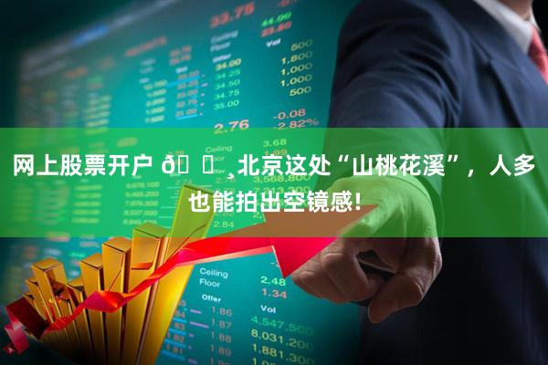 网上股票开户 🌸北京这处“山桃花溪”，人多也能拍出空镜感!